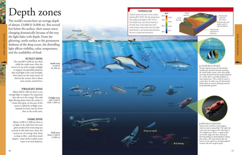 Ocean: A Visual Encyclopedia 9781465436641