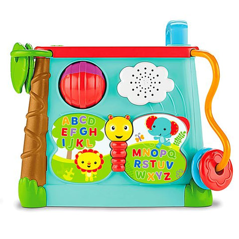 Fisher Price Play & Learn Activity Cube CMY28