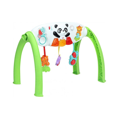 Fisher-Price OPP Gym Y6588